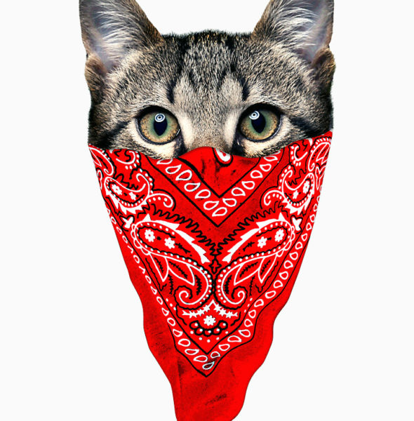 GANGSTA CAT ,750x1000,075,t,fafafa-ca443f4786